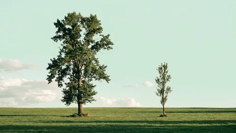 Uma árvore grande e uma árvore jovem lado a lado num campo aberto, sob céu verde-claro.
